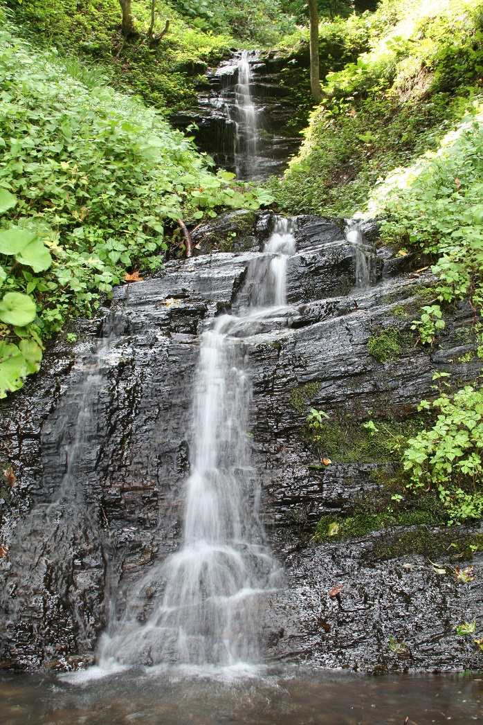 折爪五滝