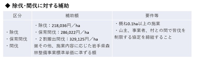 除間伐.jpg